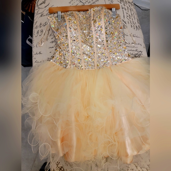 Peach Prom / Pageant dress size 6, custom made. Petite - Picture 3 of 4